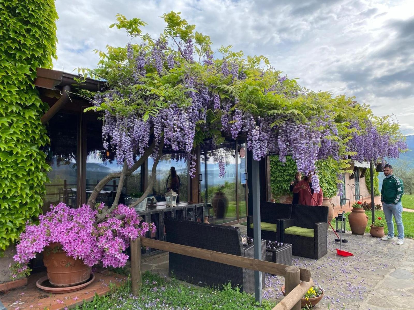 Agriturismo Ca Di Rossi Villa Mulazzo Екстериор снимка
